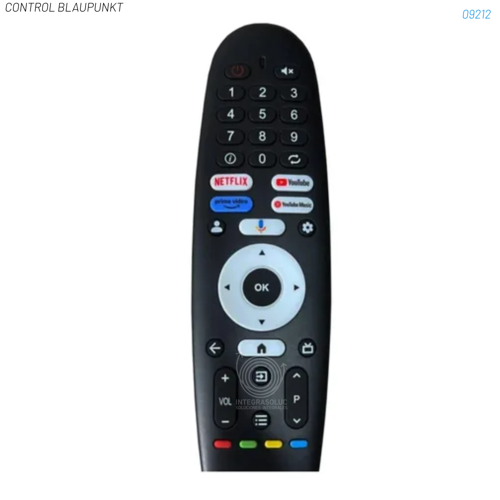 CONTROL BLAUPUNKT